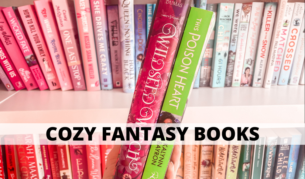 cozy fantasy books