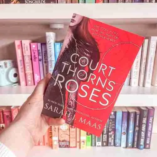 books similar to A Court of Thorns and Roses