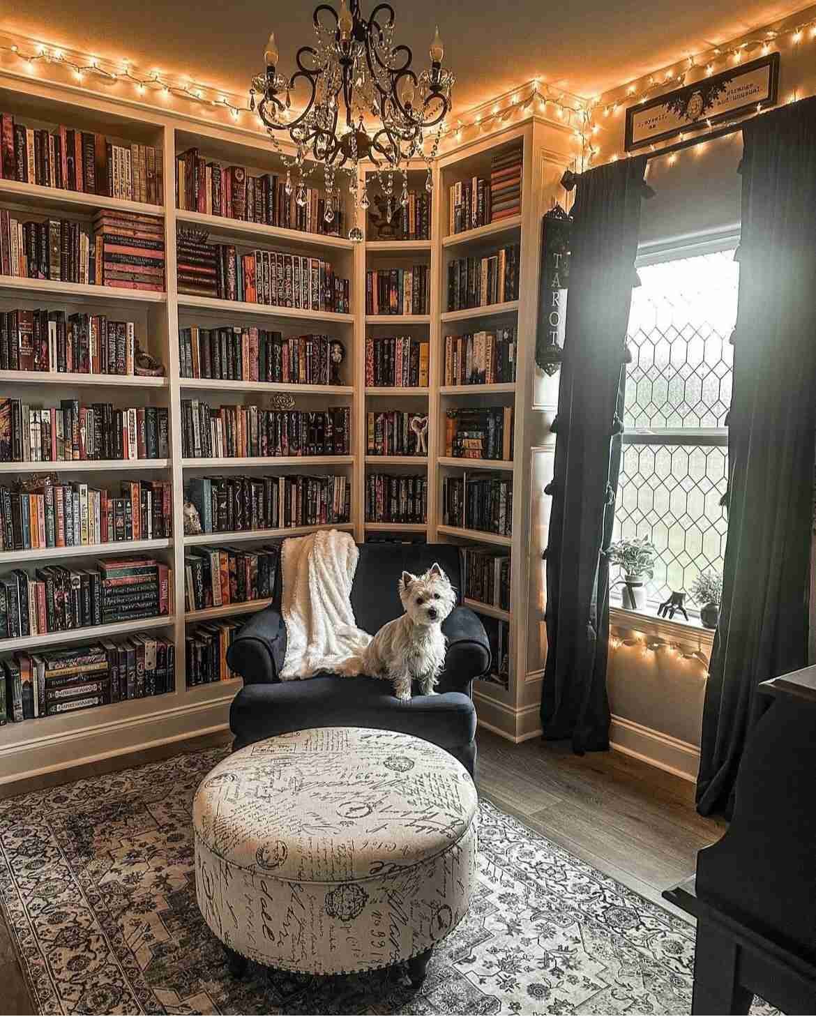 library room