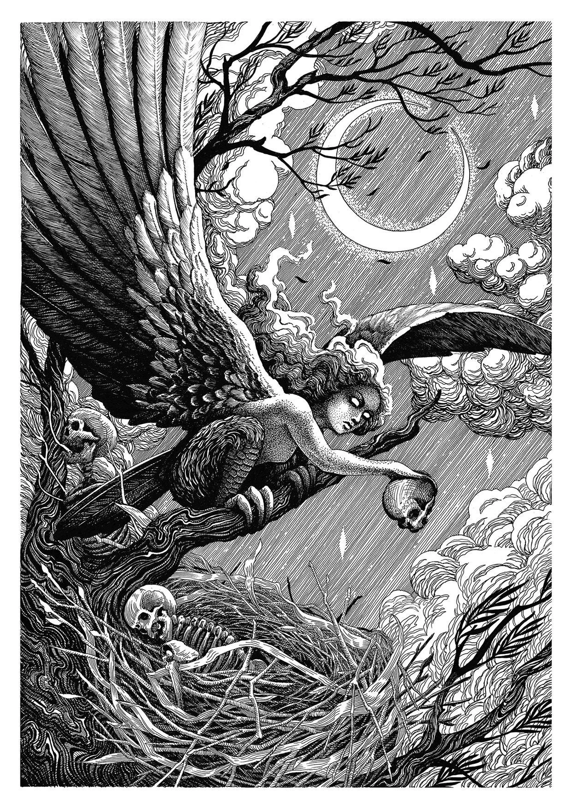 Harpy print